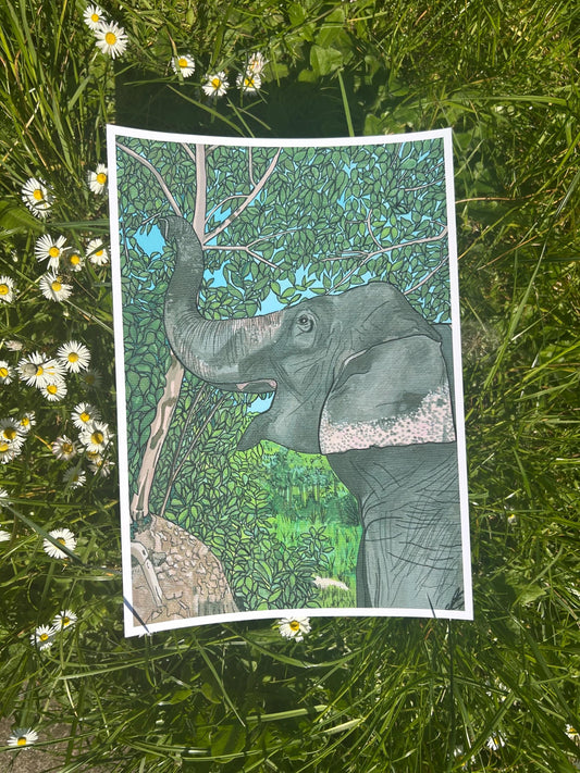 asian elephant original art print