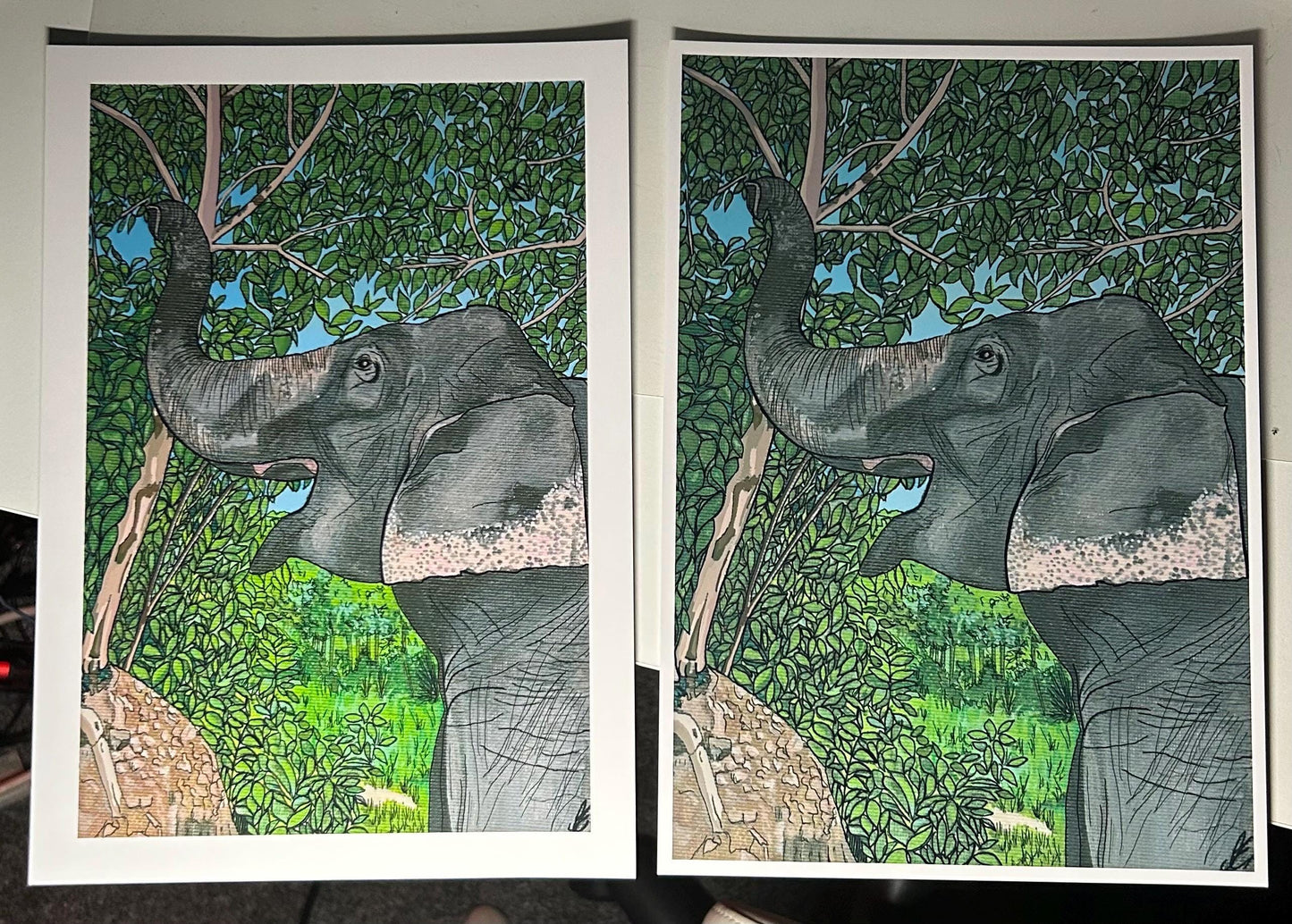 asian elephant original art print