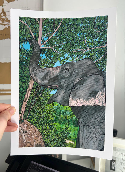asian elephant original art print