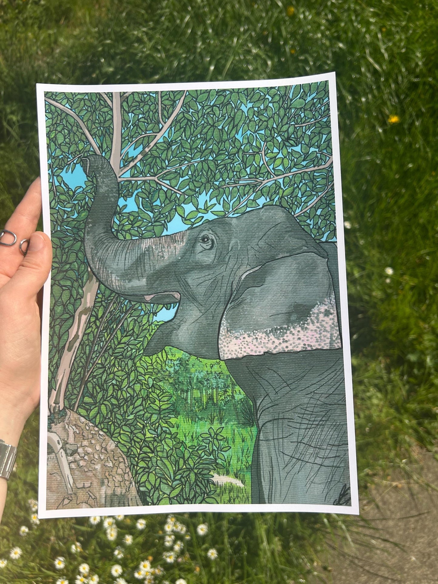 asian elephant original art print