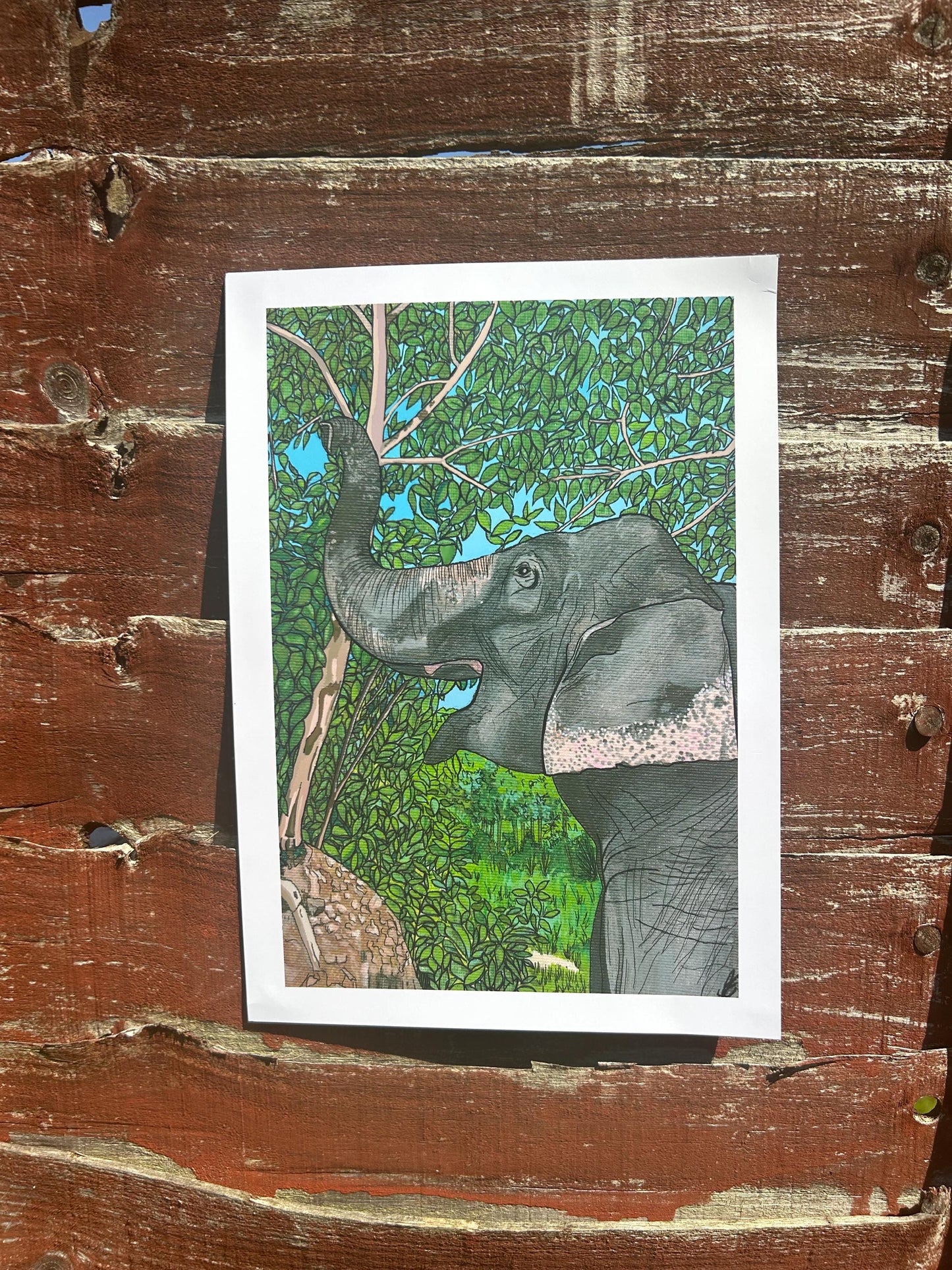 asian elephant original art print